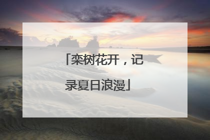 栾树花开，记录夏日浪漫