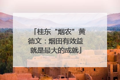 桂东“烟农”黄德文：烟田有效益就是最大的成就