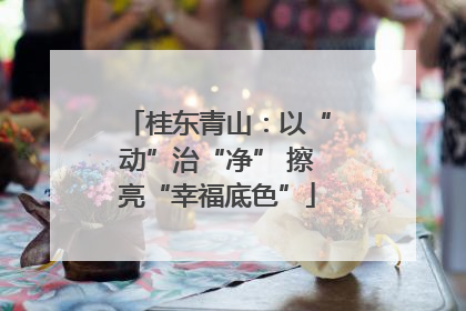 桂东青山：以“动”治“净” 擦亮“幸福底色”