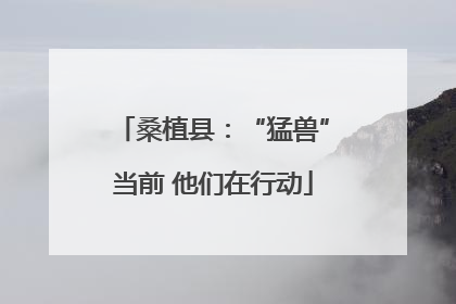 桑植县：“猛兽”当前 他们在行动