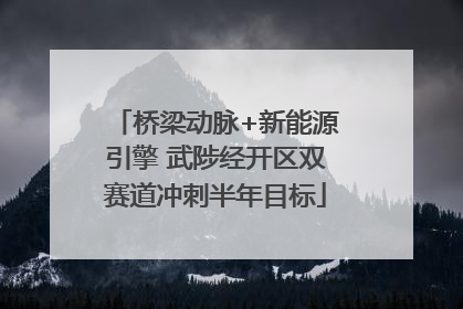 桥梁动脉+新能源引擎 武陟经开区双赛道冲刺半年目标