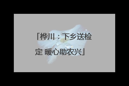 桦川：下乡送检定 暖心助农兴