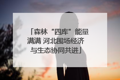 森林“四库”能量满满 河北围场经济与生态协同共进