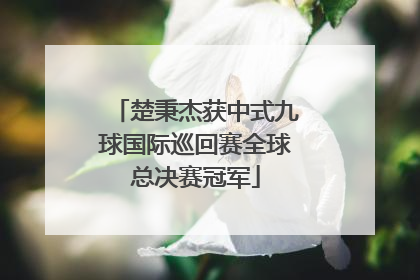 楚秉杰获中式九球国际巡回赛全球总决赛冠军