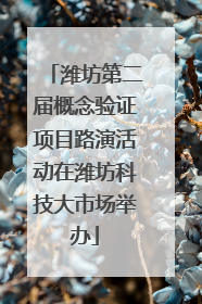 潍坊第二届概念验证项目路演活动在潍坊科技大市场举办