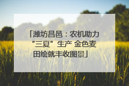 潍坊昌邑：农机助力“三夏”生产 金色麦田绘就丰收图景