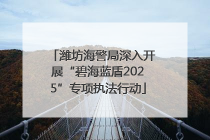 潍坊海警局深入开展“碧海蓝盾2025”专项执法行动