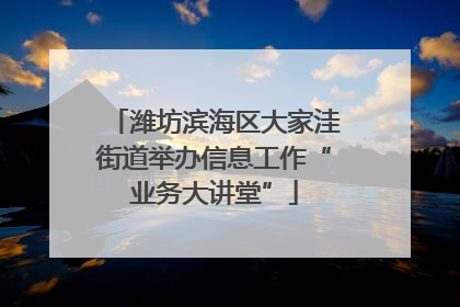 潍坊滨海区大家洼街道举办信息工作“业务大讲堂”
