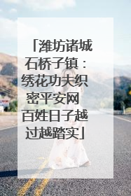潍坊诸城石桥子镇：绣花功夫织密平安网 百姓日子越过越踏实