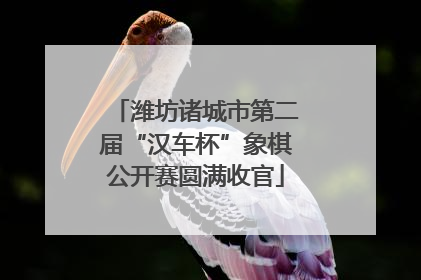 潍坊诸城市第二届“汉车杯”象棋公开赛圆满收官