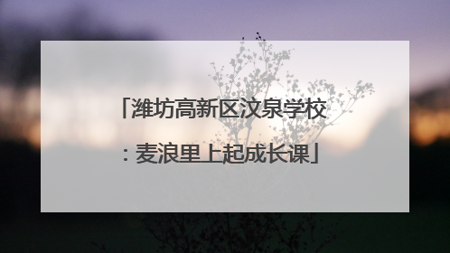 潍坊高新区汶泉学校：麦浪里上起成长课