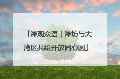 潍观众语｜潍坊与大湾区共绘开放同心圆