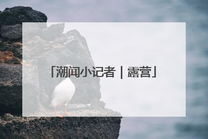 潮闻小记者｜露营