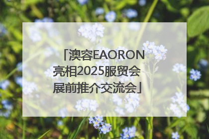 澳容EAORON亮相2025服贸会展前推介交流会