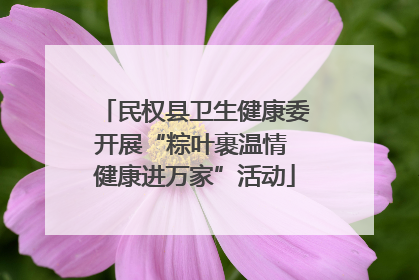 民权县卫生健康委开展“粽叶裹温情 健康进万家”活动