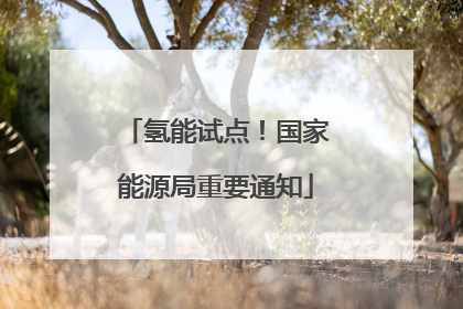 氢能试点！国家能源局重要通知