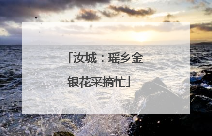 汝城：瑶乡金银花采摘忙
