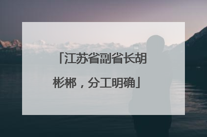 江苏省副省长胡彬郴，分工明确