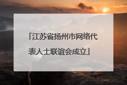 江苏省扬州市网络代表人士联谊会成立