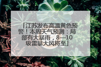江苏发布高温黄色预警！本周天气预测：局部有大暴雨，8—10级雷暴大风将至