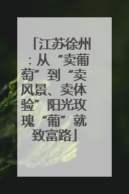 江苏徐州：从“卖葡萄”到“卖风景、卖体验”阳光玫瑰“葡”就致富路