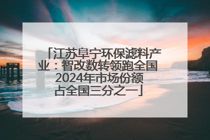 江苏阜宁环保滤料产业：智改数转领跑全国 2024年市场份额占全国三分之一