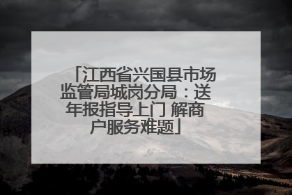 江西省兴国县市场监管局城岗分局：送年报指导上门 解商户服务难题