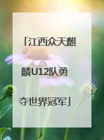 江西众天麒麟U12队勇夺世界冠军