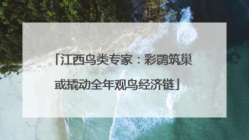 江西鸟类专家：彩鹮筑巢或撬动全年观鸟经济链
