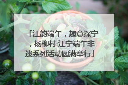 江韵端午，趣意探宁，杨柳村·江宁端午非遗系列活动圆满举行