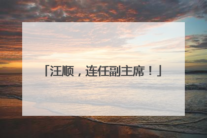 汪顺，连任副主席！