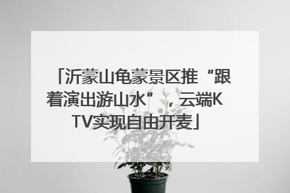 沂蒙山龟蒙景区推“跟着演出游山水”，云端KTV实现自由开麦