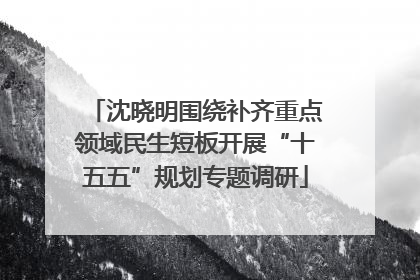 沈晓明围绕补齐重点领域民生短板开展“十五五”规划专题调研
