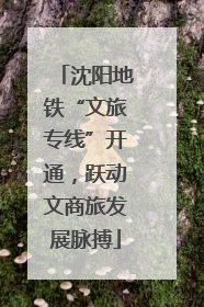 沈阳地铁“文旅专线”开通，跃动文商旅发展脉搏