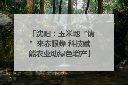 沈阳：玉米地“请”来赤眼蜂 科技赋能农业助绿色增产