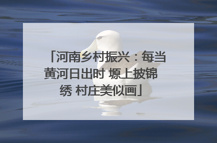 河南乡村振兴：每当黄河日出时 塬上披锦绣 村庄美似画