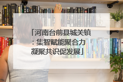河南台前县城关镇：集智赋能聚合力 凝聚共识促发展