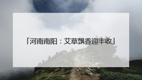 河南南阳：艾草飘香迎丰收