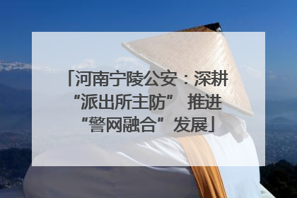 河南宁陵公安：深耕“派出所主防” 推进“警网融合”发展