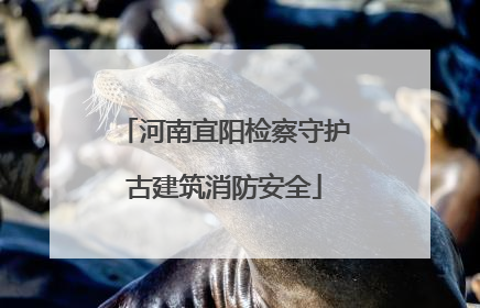 河南宜阳检察守护古建筑消防安全