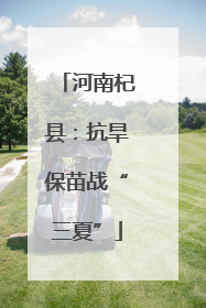 河南杞县：抗旱保苗战“三夏”