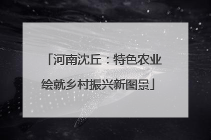 河南沈丘：特色农业绘就乡村振兴新图景