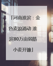 河南淮滨：金色麦浪涌动 淮滨80万亩弱筋小麦开镰