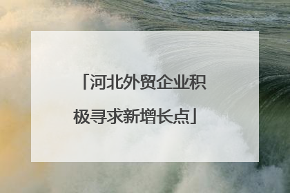 河北外贸企业积极寻求新增长点