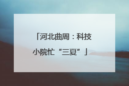 河北曲周：科技小院忙“三夏”
