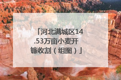 河北满城区14.53万亩小麦开镰收割（组图）