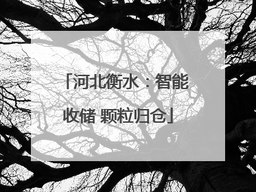 河北衡水：智能收储 颗粒归仓