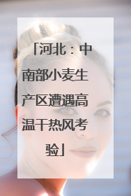 河北：中南部小麦生产区遭遇高温干热风考验