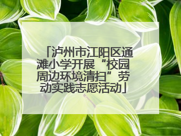泸州市江阳区通滩小学开展“校园周边环境清扫”劳动实践志愿活动