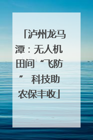 泸州龙马潭：无人机田间“飞防” 科技助农保丰收